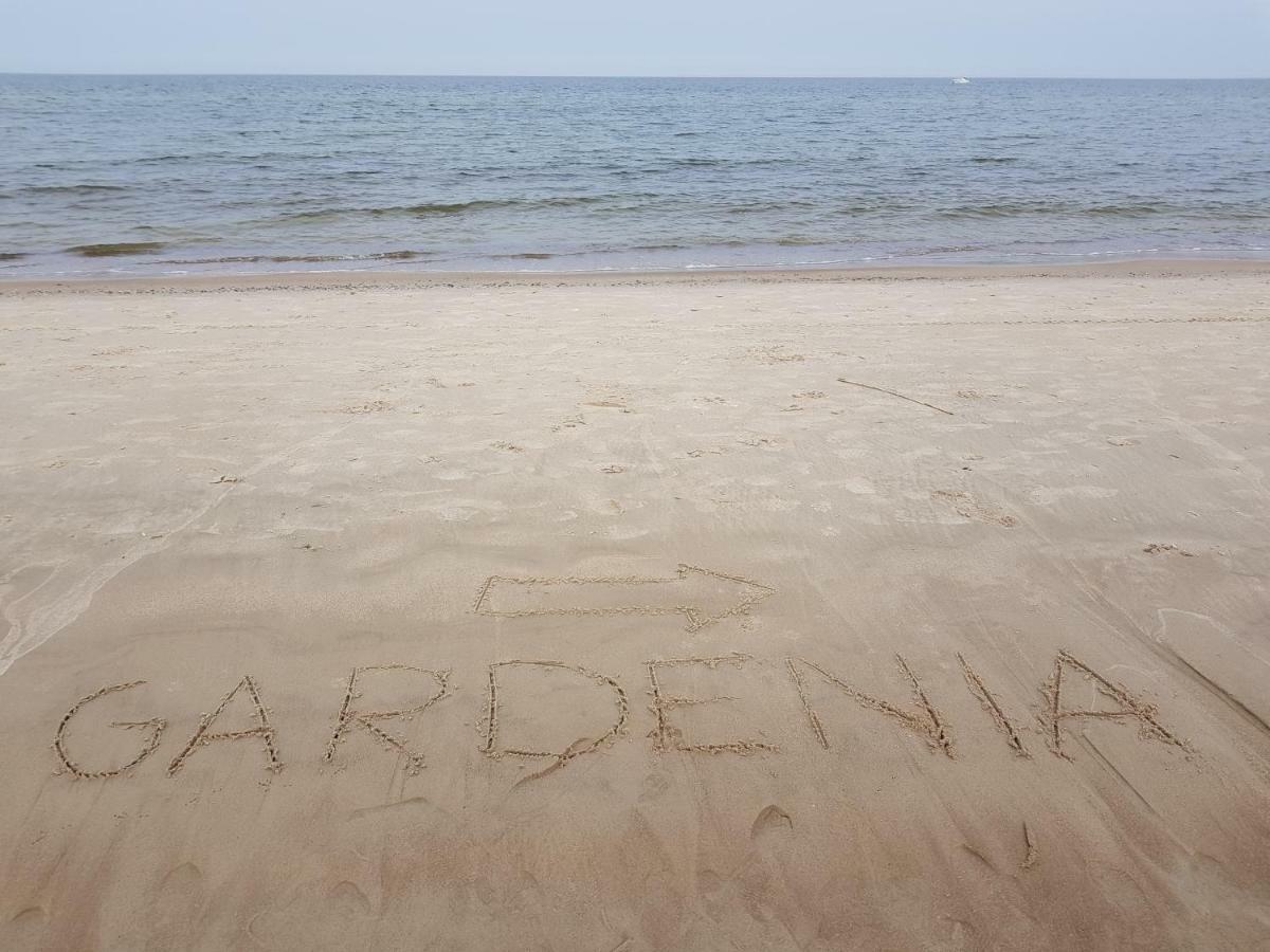 Gardenia Dziwnow